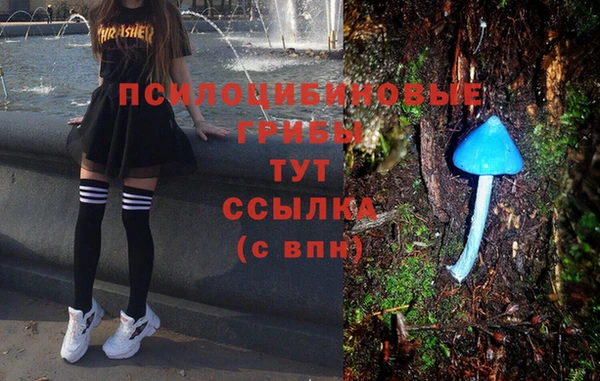 дмт Каменск-Шахтинский