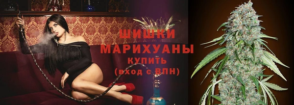 mdpv Каменногорск